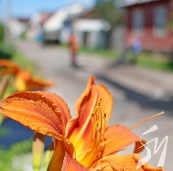 ������ � ���������� ������